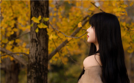 原来银杏最懂秋～