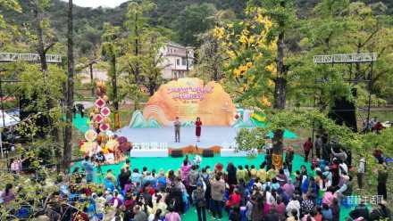 全国“四季村晚” 海洋银杏节！