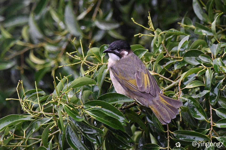 DSC_7638_副本.jpg