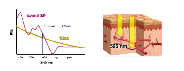 微信图片_20260823090115_23_193.png