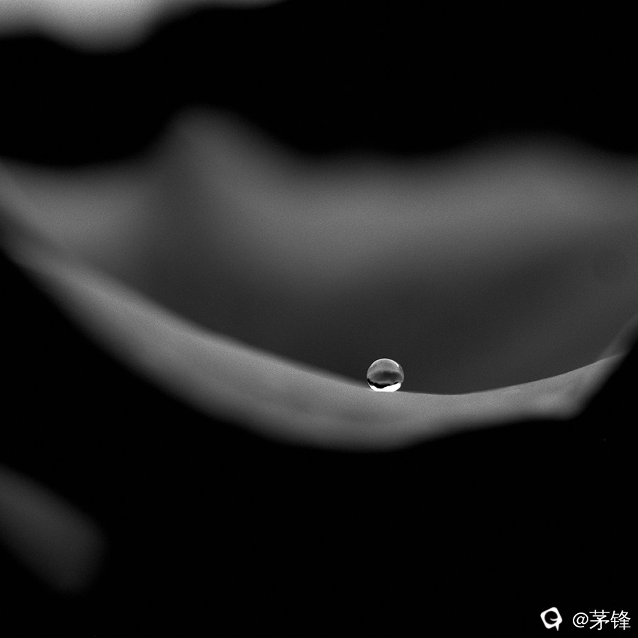 R0113411-1.jpg