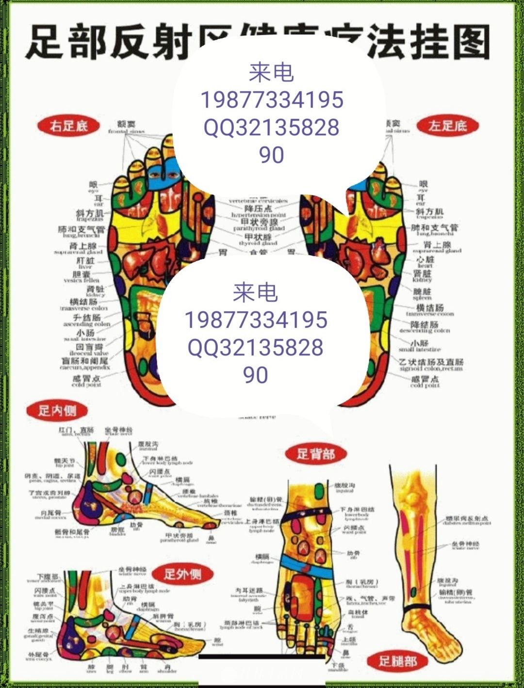 ǻͼ鰴ĦSpAɫŸ߶