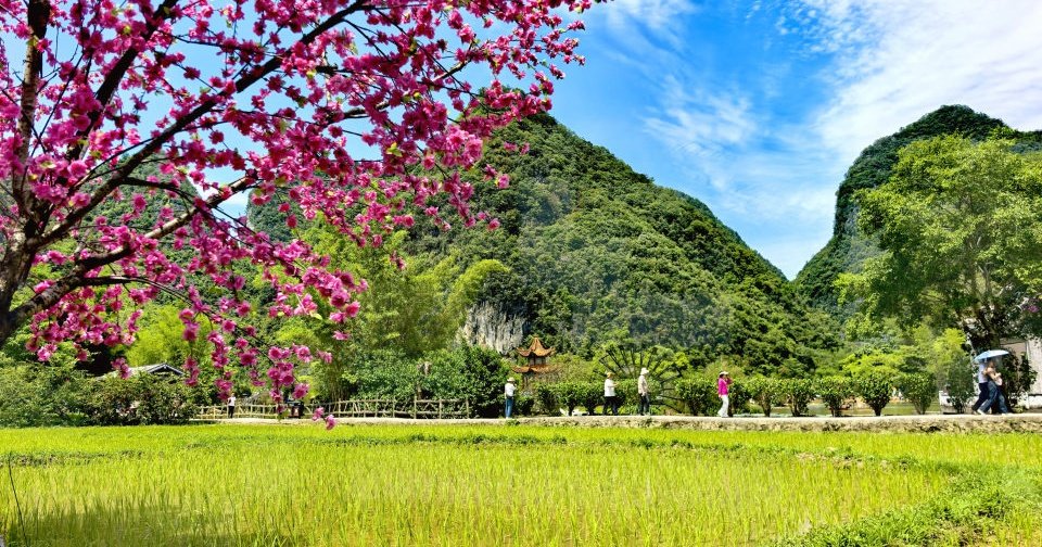 重游鹅泉