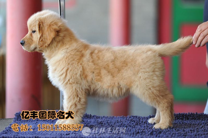 ������ë����Ǯ  ���ֽ�ë�۸� �����ֱ�����