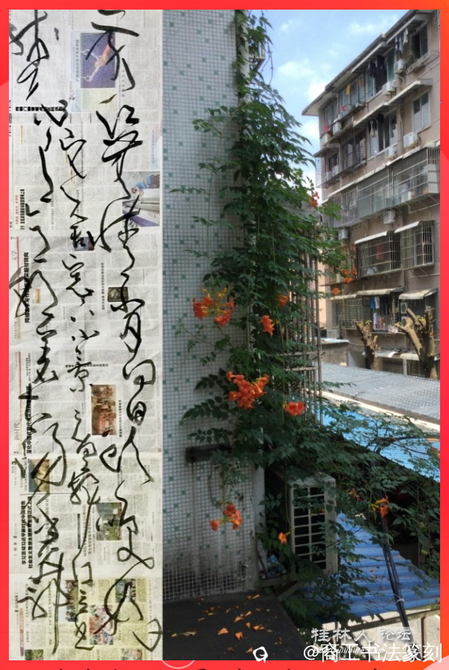 1书法摄影作品 - 副本.png