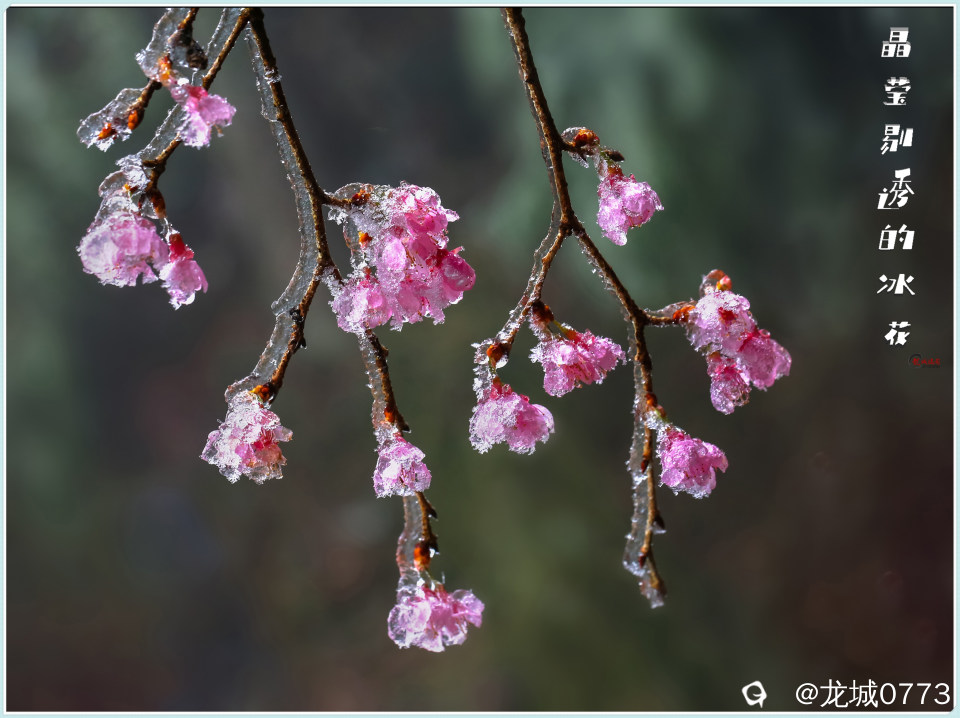 1X4A2610-pp.jpg