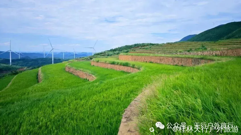 640.webp (4).png