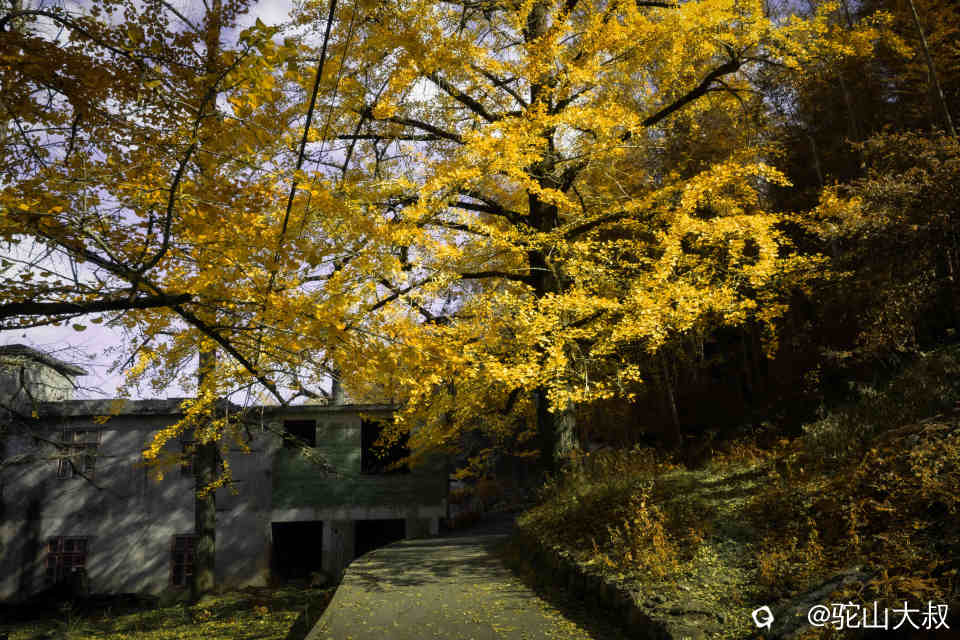 DSC04341-0 - 副本.jpg