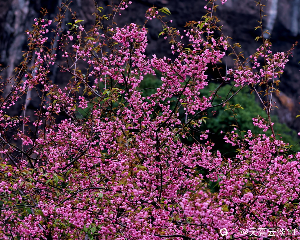 5D2A3142-DeNoiseAI-denoise.jpg