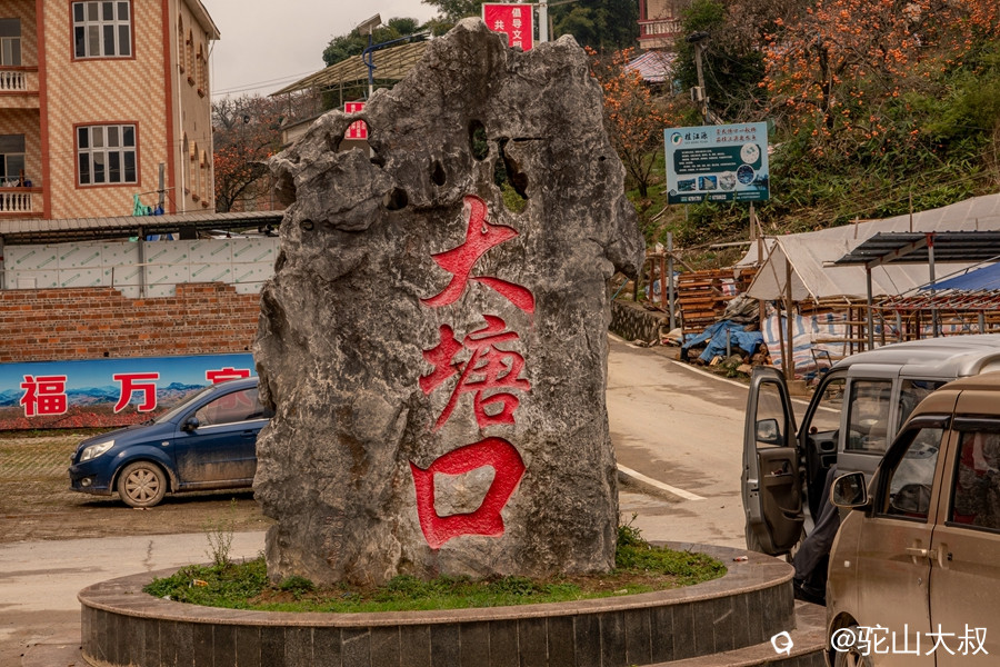 DSC04697-0_副本.jpg