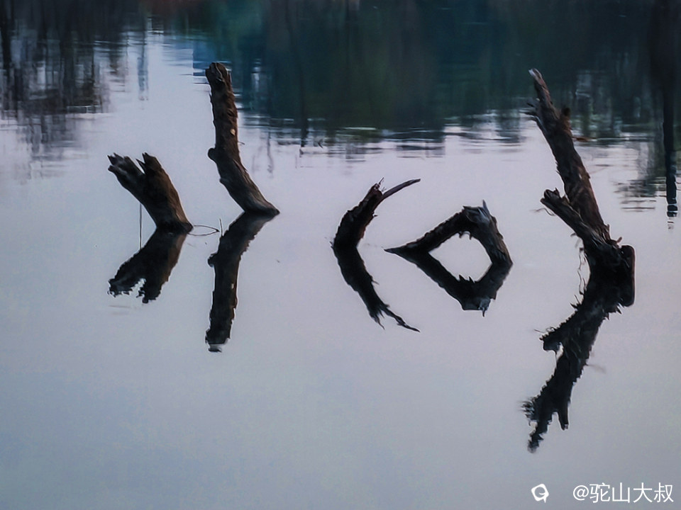 IMG_172629 - 副本.jpg