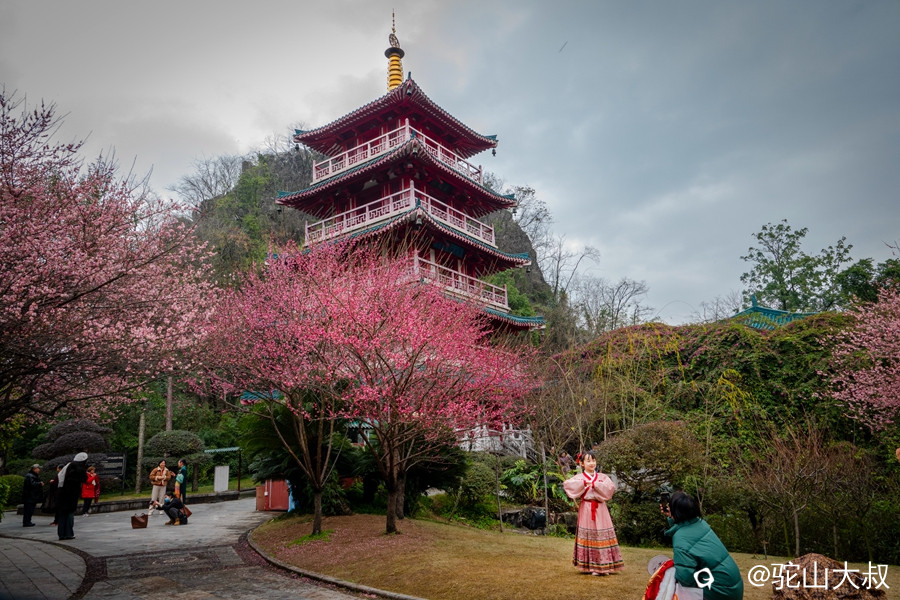 DSC05447-0_副本3.jpg