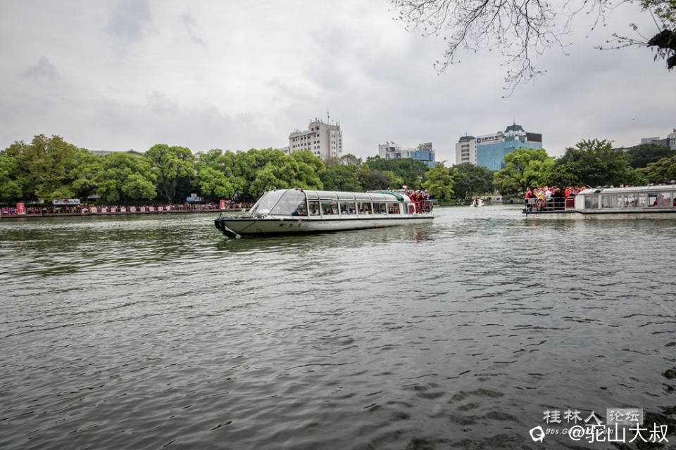 DSC06004-0.jpg