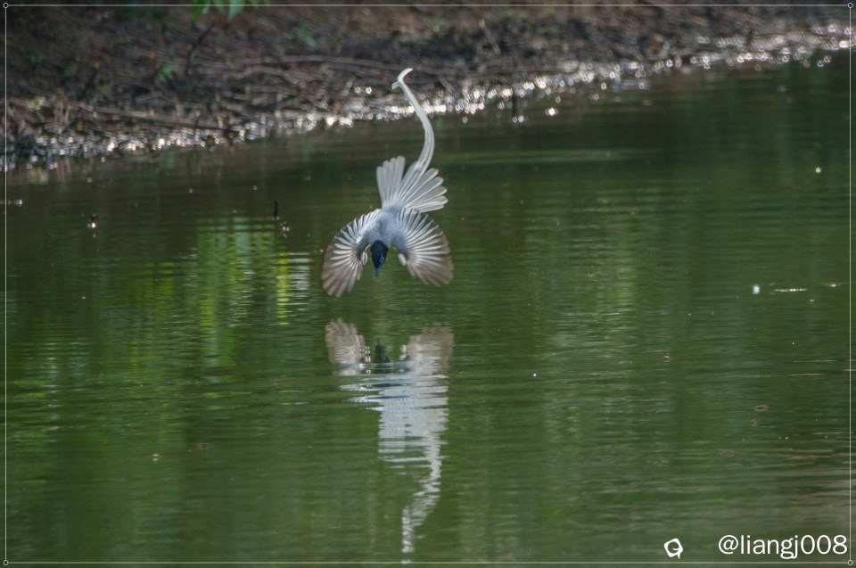 DSC07303_副本_副本.jpg