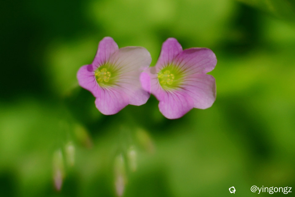 DSC_5886_副本.jpg