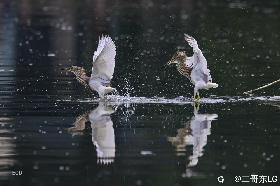 你瞅啥瞅你咋地 (10).jpg