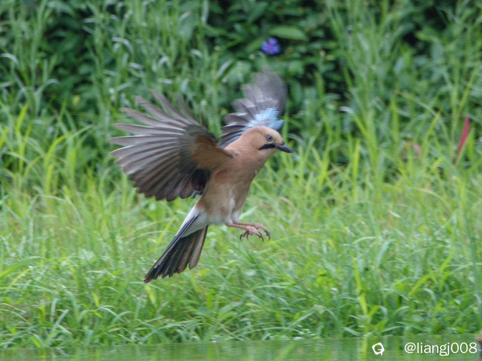 DSC07640_副本_副本.jpg