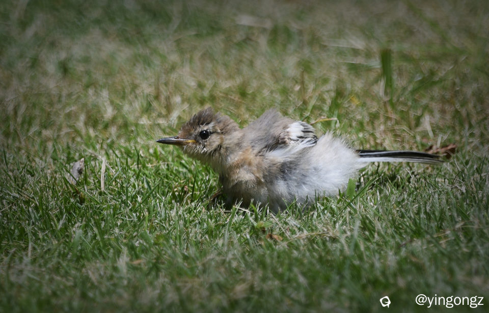 DSC_5832_副本1.jpg