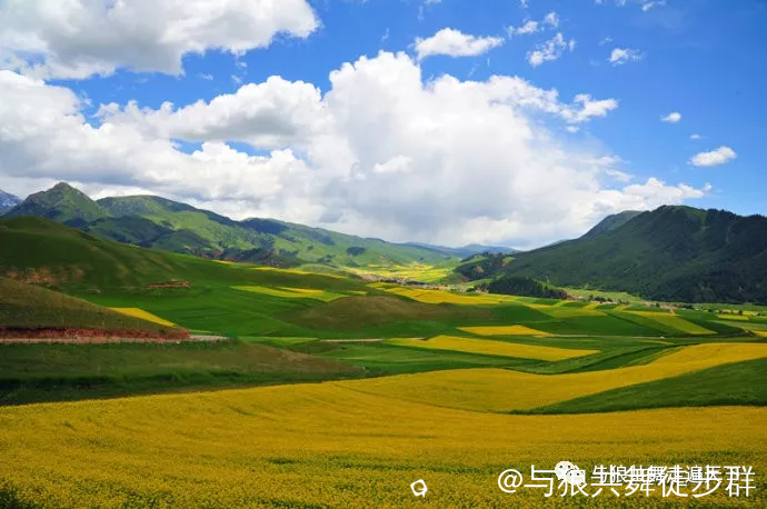 截图202405182352269344.png