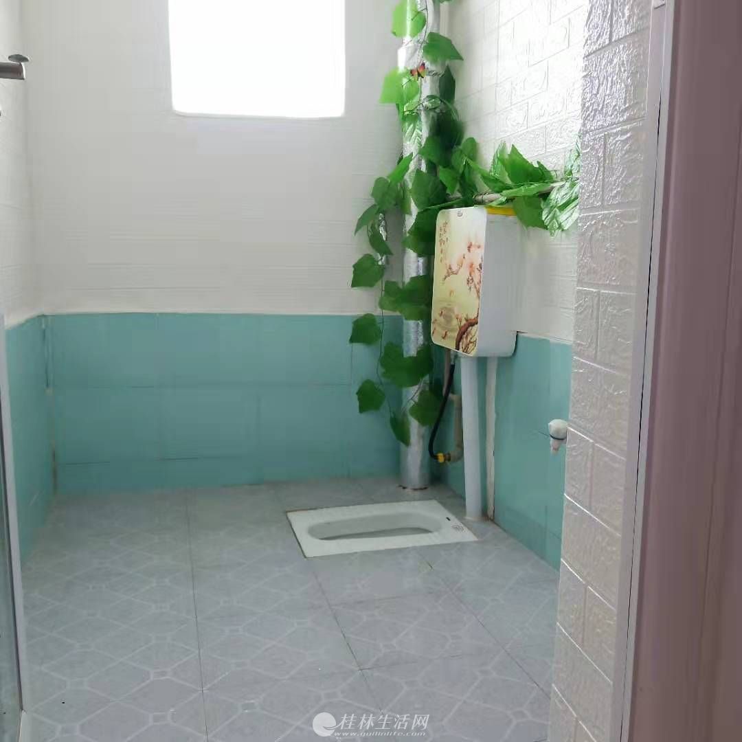 �Ÿ���С���������ص�˫ѧ����5¥2��