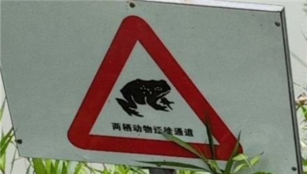在桃花江边见到蚂拐标识牌，挺有意思