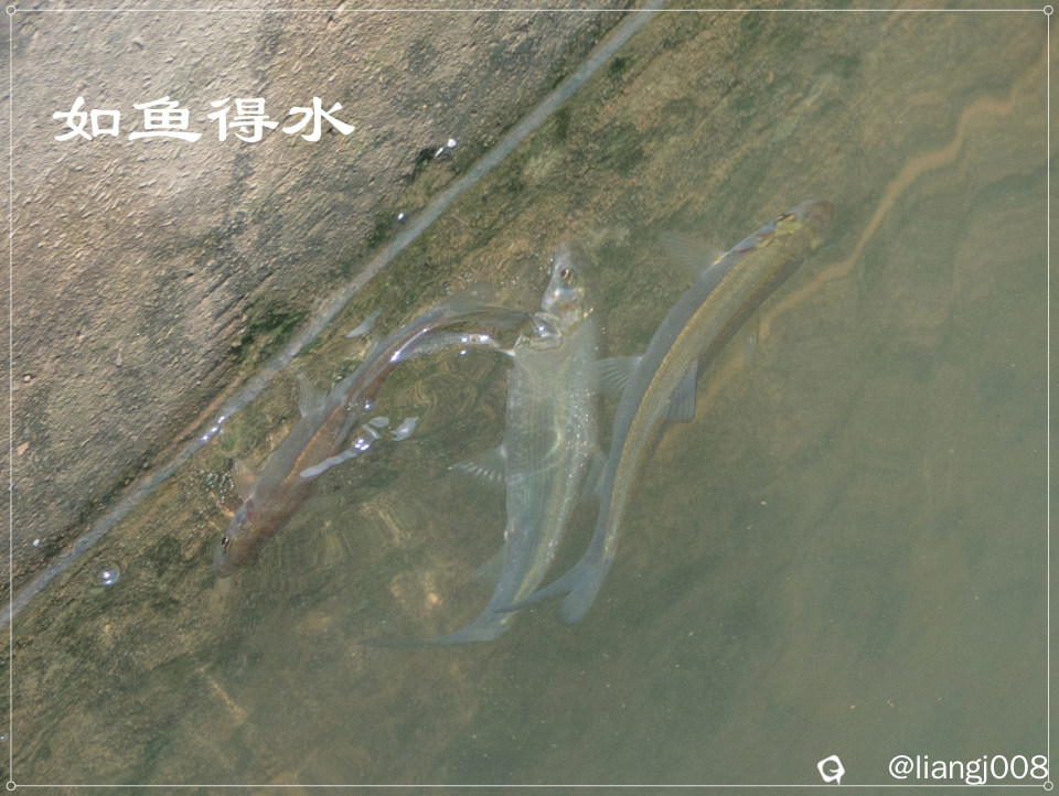 DSC03615_副本.jpg