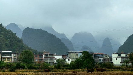 乙巳立冬之日田野行
