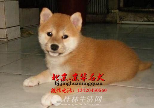  ���������²�Ȯ���� ������ϵ��Ȯ�۸� ��ȮȮ��