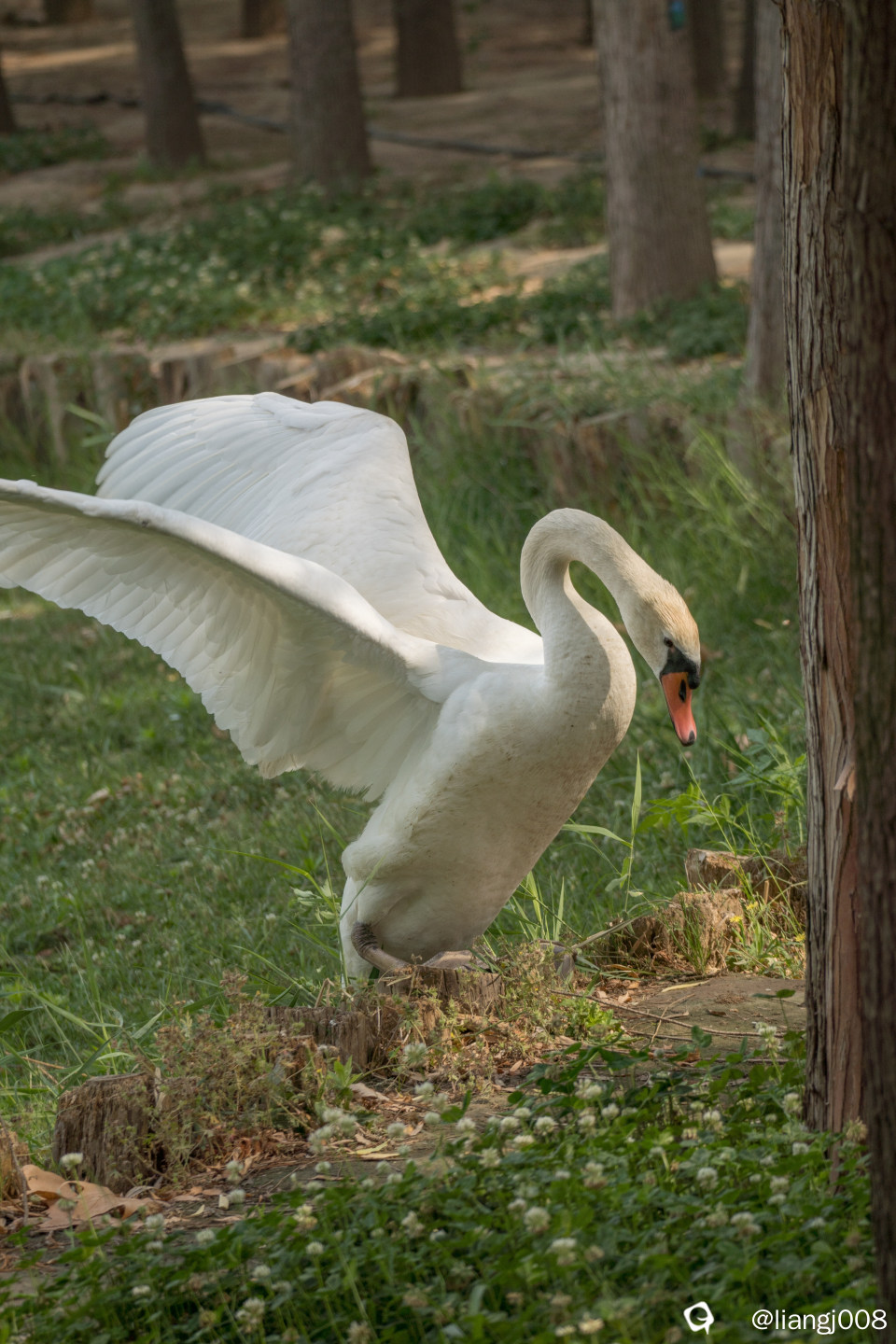 DSC01199_副本.jpg