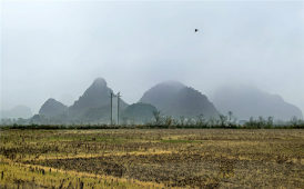 仲春烟雨过田园