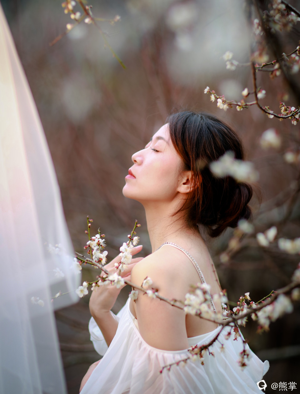 829A6247-1.jpg