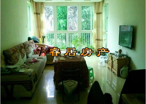 Z ����ѧ�� Ψһ��5�꡾��̩ ���޻�԰����װ2�� 63��װ �����ס