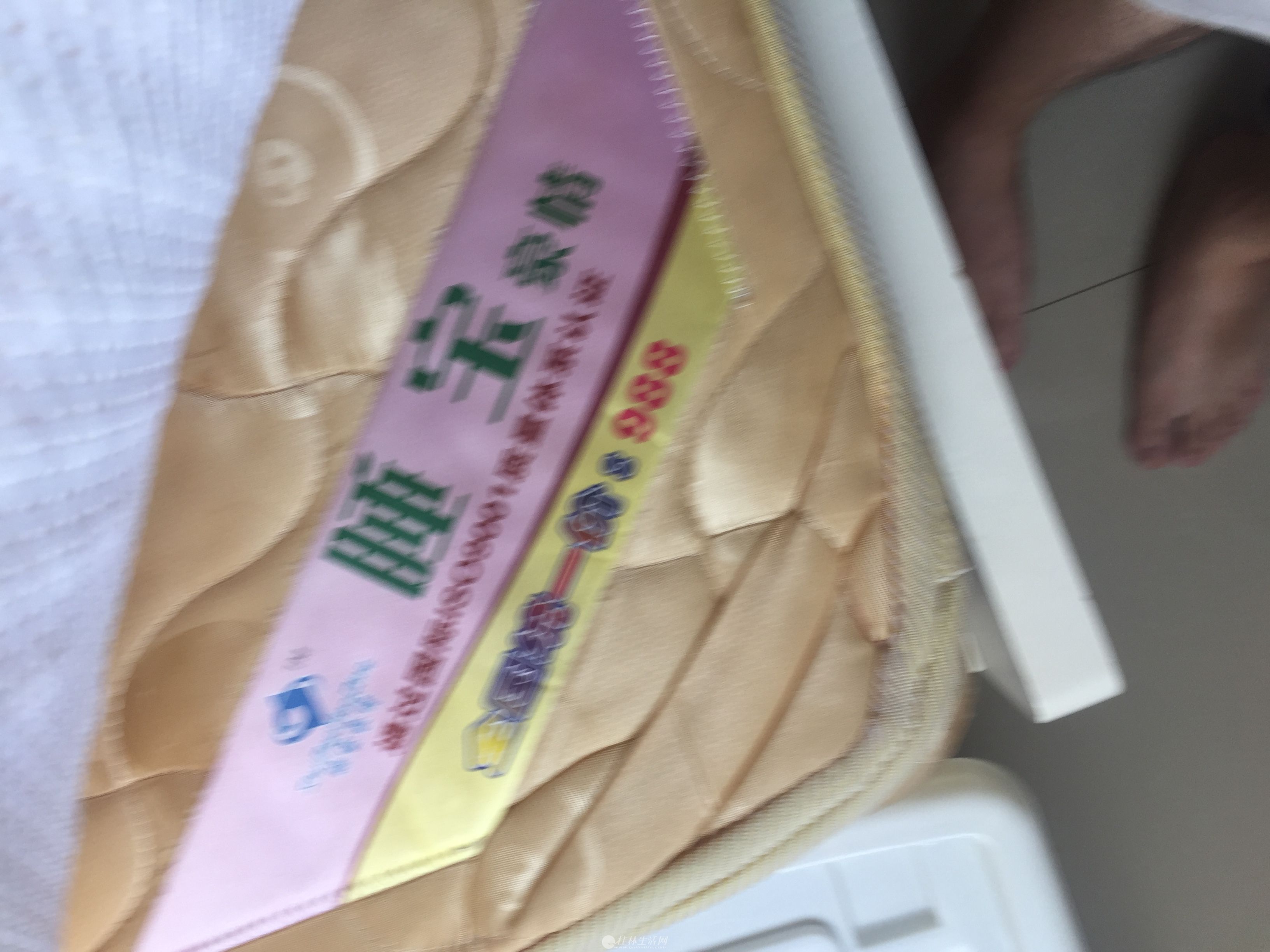 ϯ��˼���� 1.8��&amp#100062�ױ��˳��� ֻ��100Ԫ ��Ҫ����