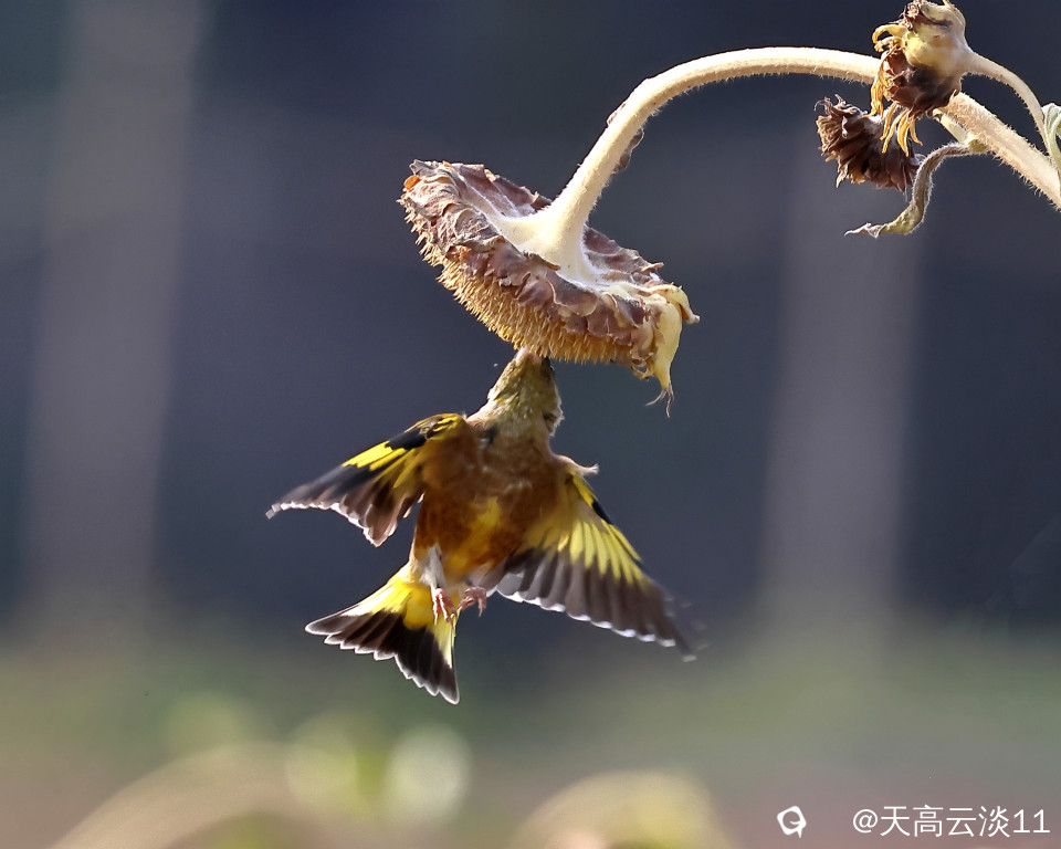 5D2A1865_副本.jpg