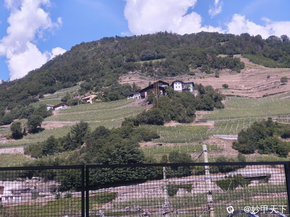 IMG20260608111005.jpg