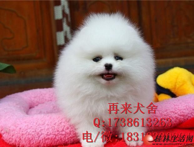 ���ֲ�����Ȯ��Ǯ���ٲ�������Ǯһֻ������λ
