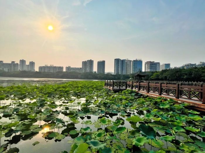 这几天，广西的天气甚是复杂，高温、大雨、冰雹、大风一个不落，悉数登场。“五一”小长假即将到来，广西的天气舞台是否还会这么热闹？4月29日，记者从广西气象台了解到，“五一”假期广西的天气关键词有冷空气、降雨、强对流。图为4月29日，南宁烈日当头，气温较高。图为南湖公园一角。记者 苏华 摄（广西新闻网-南国早报）.jpeg