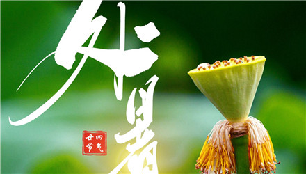 【處暑】暑氣炎炎夜漸涼，蟬聲待歇韻偏長