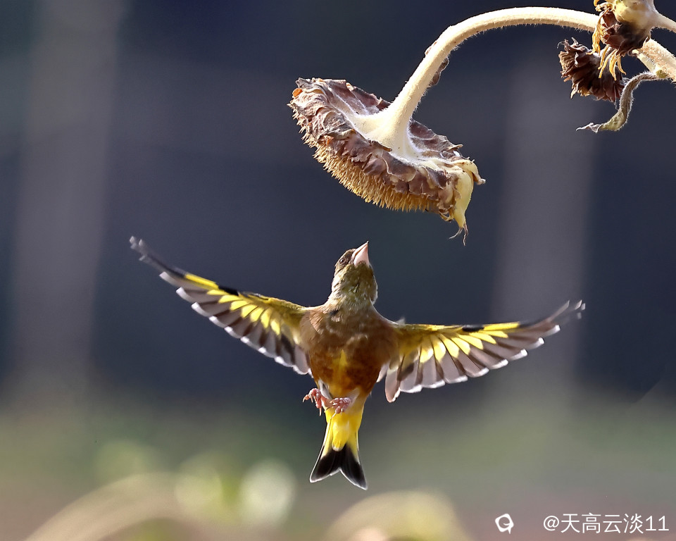 5D2A1872_副本.jpg