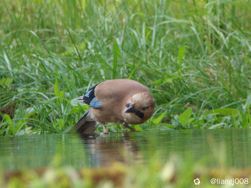 DSC07820_副本_副本.jpg