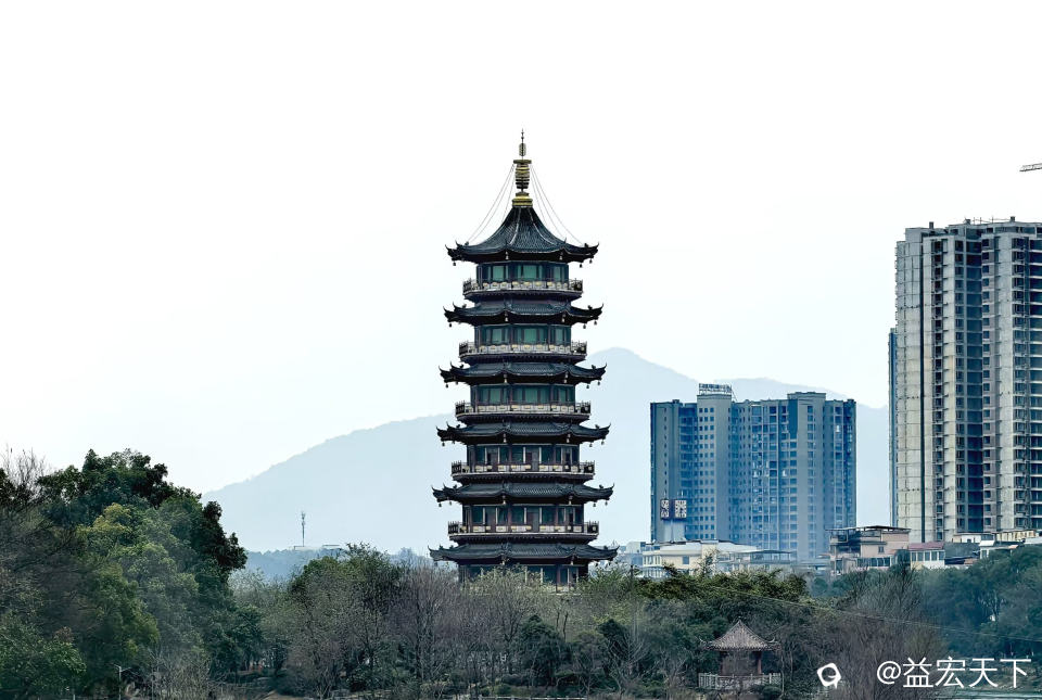 IMG_21975.jpg