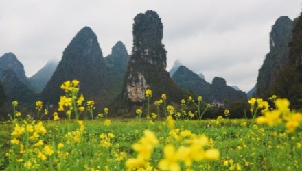 春天的东山村可以走走