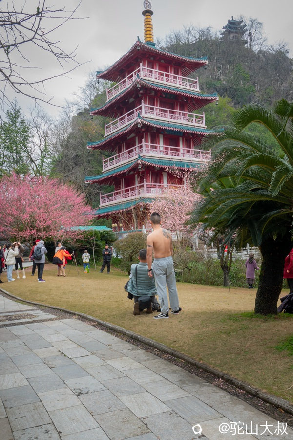 DSC05477-0_副本.jpg