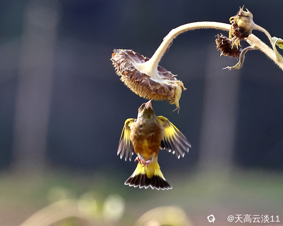 5D2A1857_副本.jpg