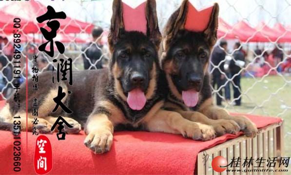 ����������ϵ�¹�����Ȯ���� �ڱ�Ȯ�۸� ����Ȯ����Ǯһֻ