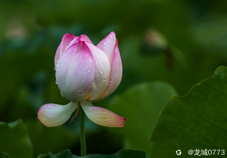 c778ab85-e49b-9a53-0fef-8a0696c8ccf9.jpg