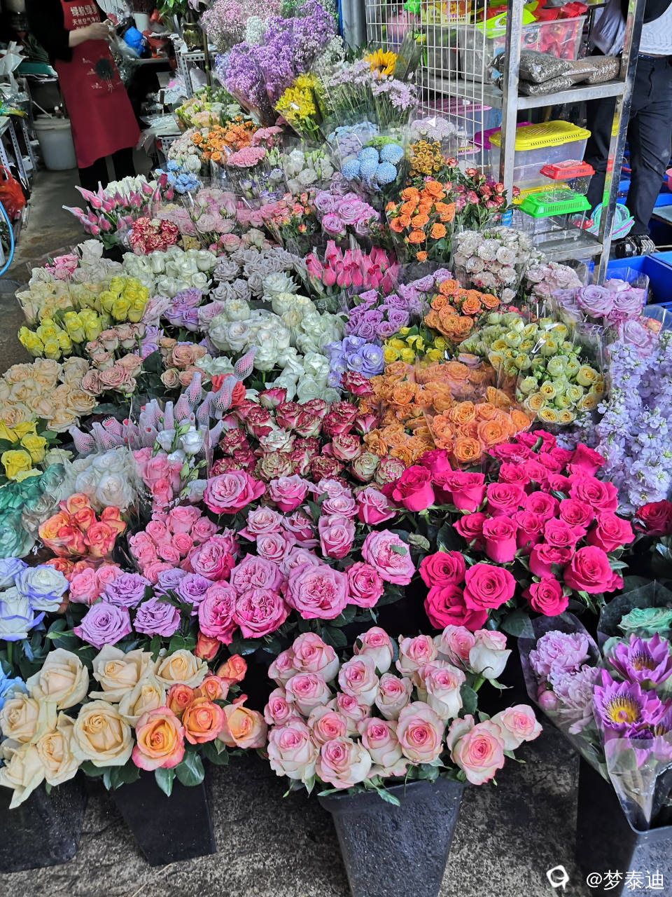 IMG_20240505_120950_副本.jpg