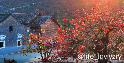 屏幕截图 2026-01-17 190916.png