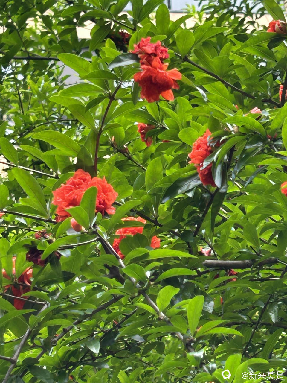 微信图片_20260513183320_299_289.jpg
