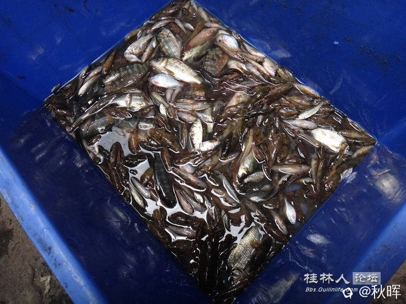 DSC07278_副本.jpg